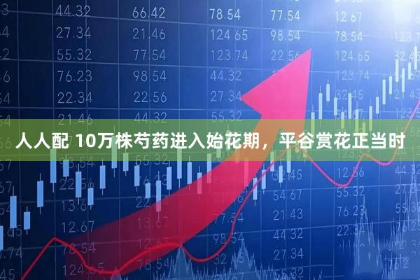 人人配 10万株芍药进入始花期，平谷赏花正当时