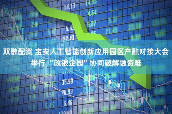 双融配资 宝安人工智能创新应用园区产融对接大会举行 “政银企园”协同破解融资难