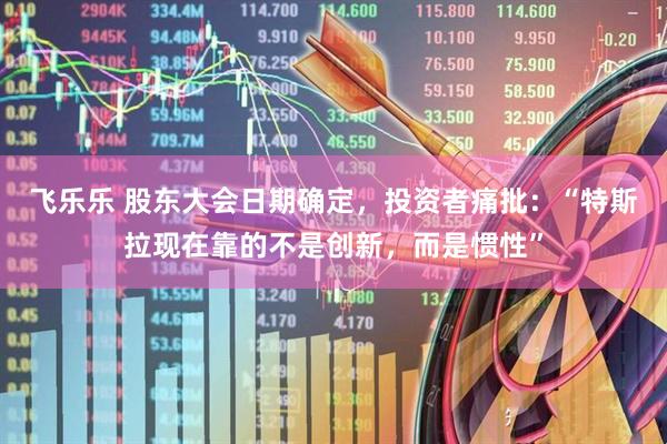 飞乐乐 股东大会日期确定，投资者痛批：“特斯拉现在靠的不是创新，而是惯性”