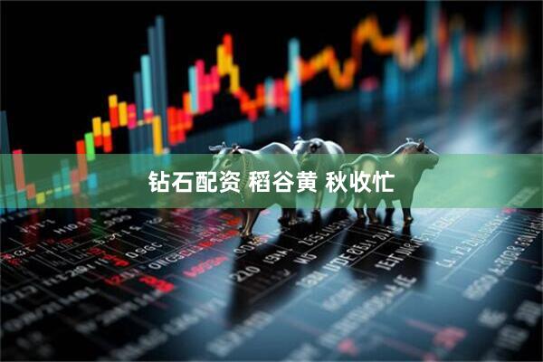 钻石配资 稻谷黄 秋收忙