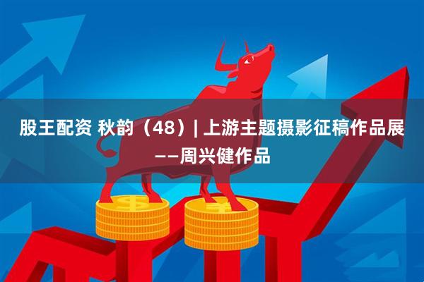 股王配资 秋韵（48）| 上游主题摄影征稿作品展——周兴健作品