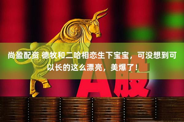 尚盈配资 德牧和二哈相恋生下宝宝，可没想到可以长的这么漂亮，美爆了！