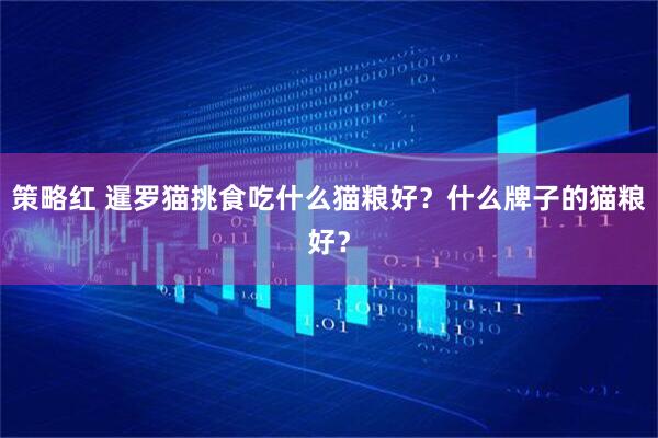 策略红 暹罗猫挑食吃什么猫粮好？什么牌子的猫粮好？