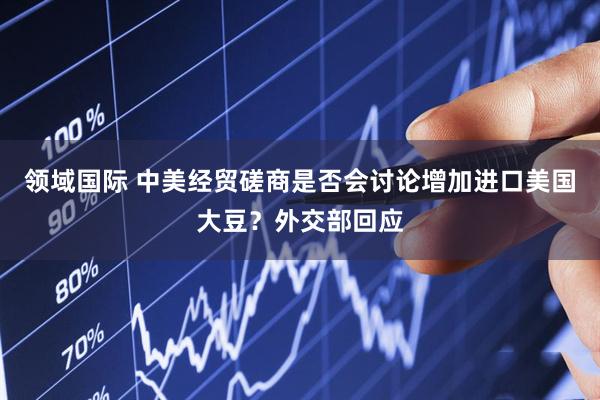 领域国际 中美经贸磋商是否会讨论增加进口美国大豆？外交部回应