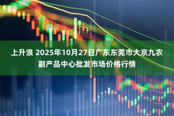上升浪 2025年10月27日广东东莞市大京九农副产品中心批发市场价格行情