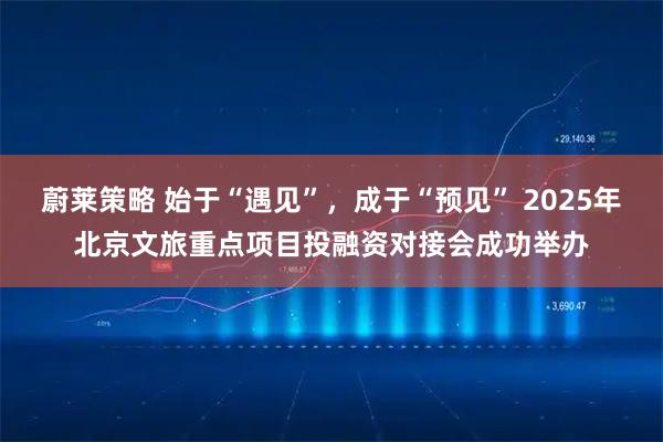 蔚莱策略 始于“遇见”，成于“预见” 2025年北京文旅重点项目投融资对接会成功举办